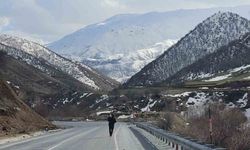 Tatvan ile Hizan arasındaki eşsiz manzaralar hayran bırakıyor