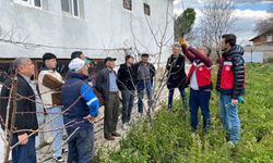 Tavşanlı'da meyve üreticilerine budama eğitimi