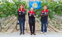 Tekirdağ'da kalıntısız üretime sertifika