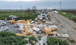 Tekirdağ'da kamyon kamyon atık döküldü