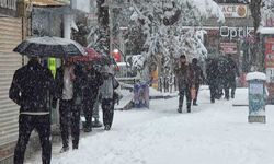 Van'da Mart sürprizi: Bahar beklerken kar kapıya dayandı