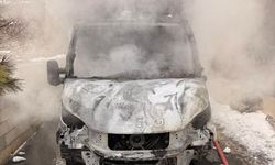 Van'da park halindeki kamyonet yandı