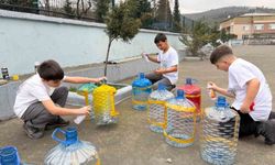 Yemek artıkları sokak hayvanları için mamaya dönüşüyor