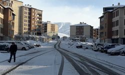 Yüksekova'da kar yağışı
