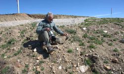 17 yeni memeli türü keşfedildi