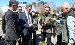22 yılda 109 milyon 508 bin adet fidan toprakla buluştu