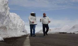 2581 rakımda arıcılardan yol açma çağrısı