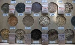 3 milyon yerel tohum dağıtıldı