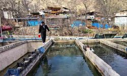 300 bin balık telef oldu; Genç girişimci ayakta kalma mücadelesi veriyor