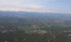 Adana'da bir yanda kar, bir yanda bahar