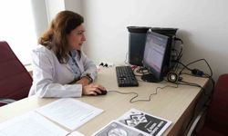 'Ağrı Tedavisinde Bitkisel Yaklaşımlar' kitabı raflarda