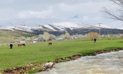Ağrı'da iki mevsim bir arada