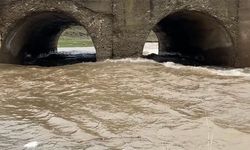 Ağrı'da kar suyu dereleri coşturdu