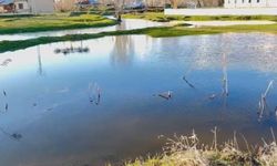 Ağrı'da sağanak nedeniyle dereler taştı