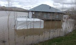 Ağrı'da sağanak yağış sonucu dereler taştı