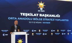 AK Parti Genel Başkanvekili Elitaş'tan ara seçim yorumu: 'Özgür Bey'in zihni özgür değil'