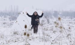 Akademisyenden doğa ve hafıza temalı performans