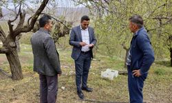 Akçadağ Belediye Başkanı Ulutaş, doludan etkilenen üreticileri ziyaret etti
