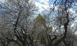 Akdamar Adası'nda 23 Nisan yoğunluğu