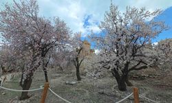 Akdamar Adası'nda renk cümbüşü