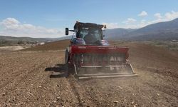 Akıncılar Belediyesi, nohut tohumlarını toprakla buluşturdu