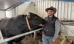 Aksiliklerinden kantara çıkamıyorlar: 4 yaşındaki dev tosunları gören bir daha bakıyor