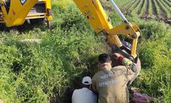 Antakya'da kuyuya düşen büyükbaş hayvan kurtarıldı