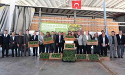 Arabanlı karpuz üreticisi çiftçilere yüzde 50 hibeli fide desteği