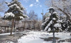 Ardahan'da kar kartpostallık görüntüler sundu