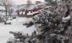 Ardahan'da kar sonrası dondurucu soğuklar etkili oldu