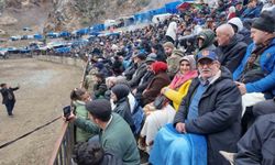 Artvin'de boğa güreşleri sezonu Sarıgöl'de açıldı
