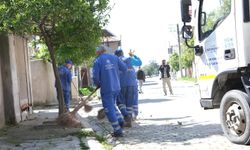 Aydın Büyükşehir'den, çevre düzenleme ve bakım çalışması