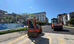 Aydın Büyükşehir'den Efeler'de yol çalışması