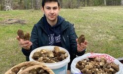 Baba ve oğlunun yüzünü güldüren mantar avı