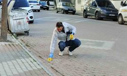 Bafra'da 'kız meselesi' kavgası: 1 yaralı