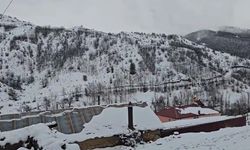 Bahar yerini kışa bıraktı: Erzincan Refahiye'de kar yağışı etkili oldu