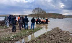 Barajda mahsur kalan ineği AFAD kurtardı
