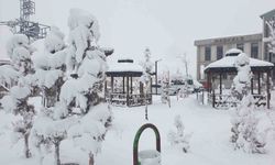 Başkale'de kar yağışı