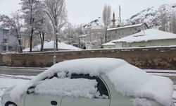 Başkale'de nisan ayında kar yağışı