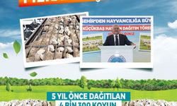 Başkan Büyükkılıç'tan kırsala, kendi kendini büyüten model: 150 bin küçükbaş artışı