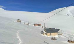 Bayburt'ta ayı saldırılarının yaşandığı yaylada ulaşım sorunu sürüyor