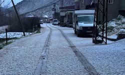 Beytüşşebap'ta dolu yağışı her yeri beyaza bürüdü