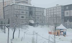 Bitlis nisan ayında yeniden beyaza büründü