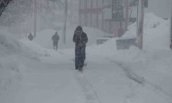 Bitlis'te 111 köy yolu ulaşıma kapandı