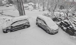 Bitlis'te nisanda kara kış: 84 köy yolu ulaşıma kapandı