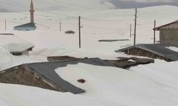 Bülbülan Yaylası'nda evler kara gömüldü