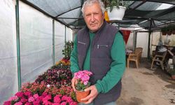 Burhaniye'de emekli bankacı 500 çeşit bitki yetiştirdi