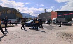 Bursa'da freni patlayan vinç dereye uçtu : Sürücü hayatını kaybetti