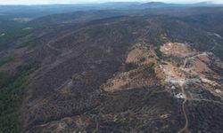 Bursa'da tarihin en büyük orman yangınında yaralar böyle sarıldı