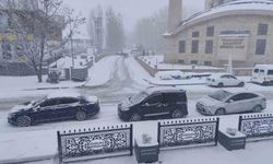 Çaldıran'da bahar beklenirken kış geri döndü